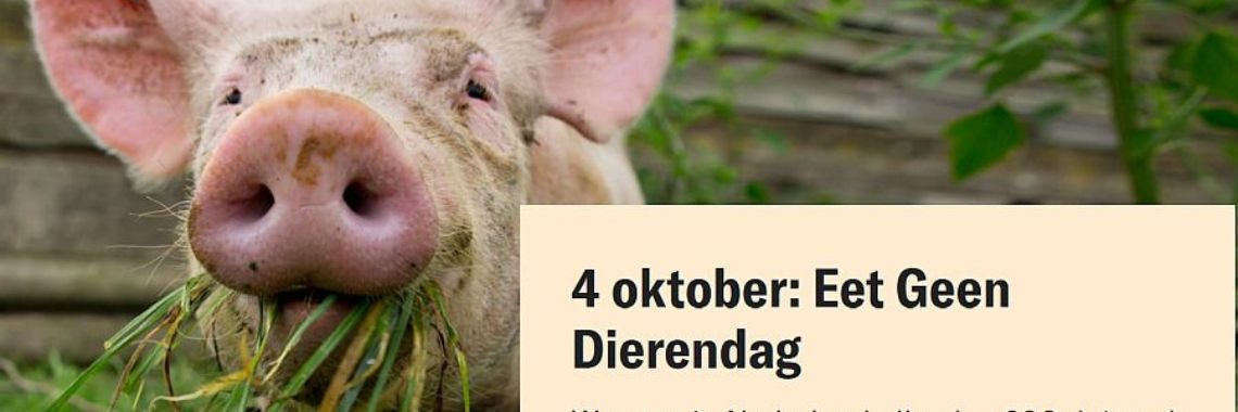 We eten in Nederland elke dag 600 duizend dieren.  | Hans