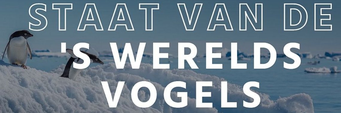 Helft van alle vogelsoorten in de wereld gaat achteruit | Hans