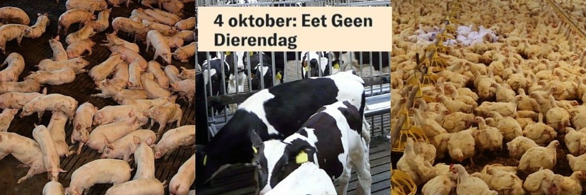 4 oktober Dierendag: Eet geen Dierendag | Hans