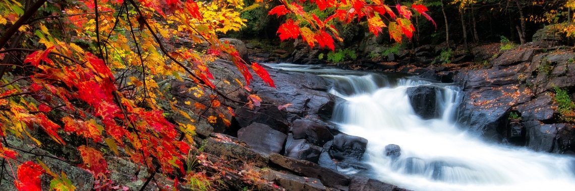 Posten in september 2022 | Hans