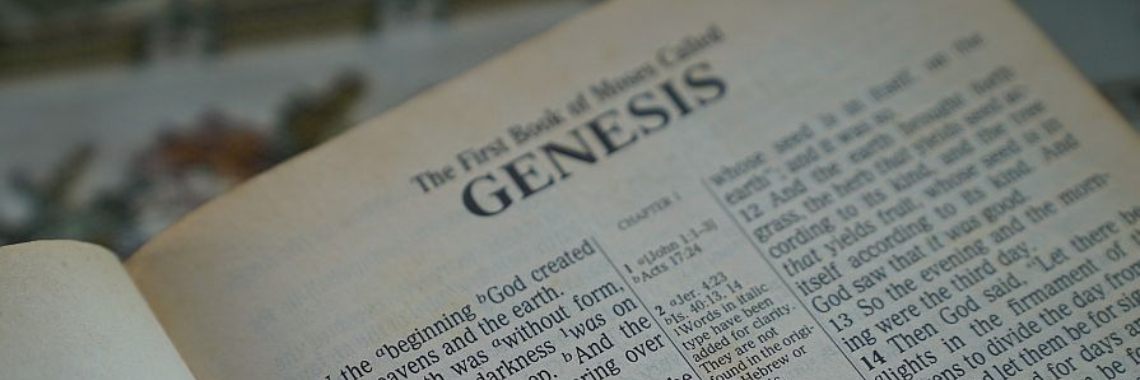 In Genesis 1 stond vlees niet op menu van mens | Hans
