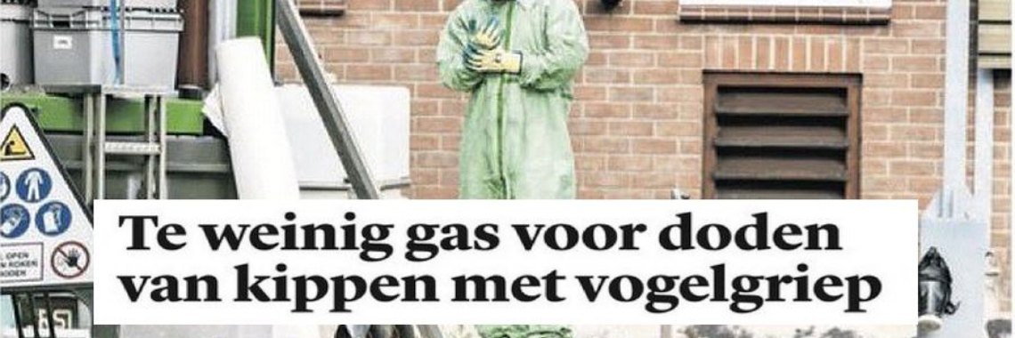 Waanzin ten top | Hans