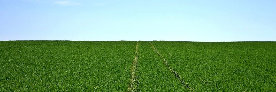 De schijnidylle van het platteland | Hans