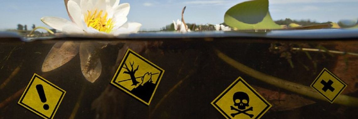 Stop de watercrisis | Hans