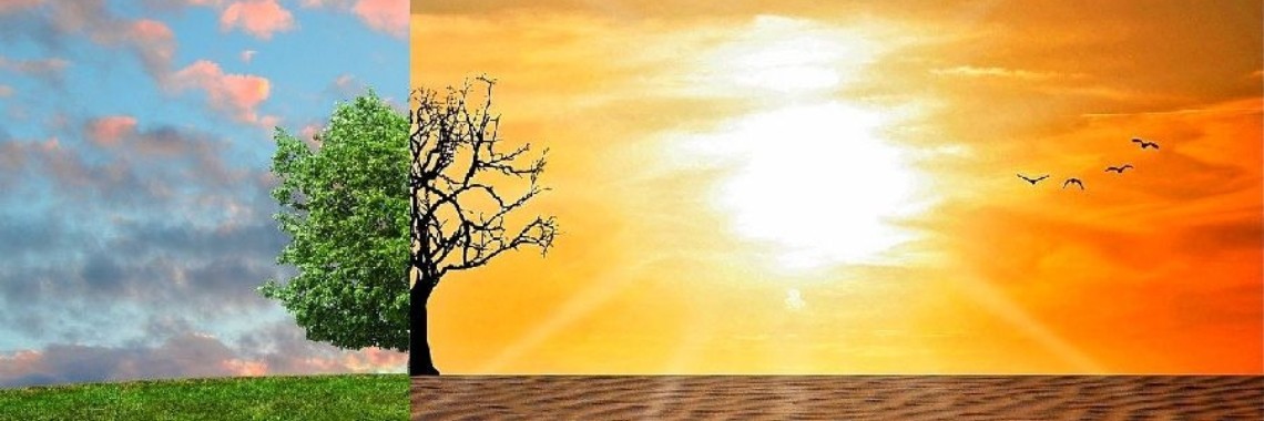 Klimaatverandering zal de planeet niet "redden" | Hans