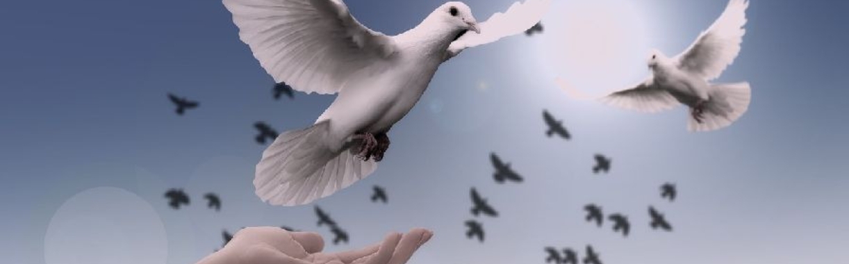 Een nieuw jaar van nieuwe vrijheid | Hans