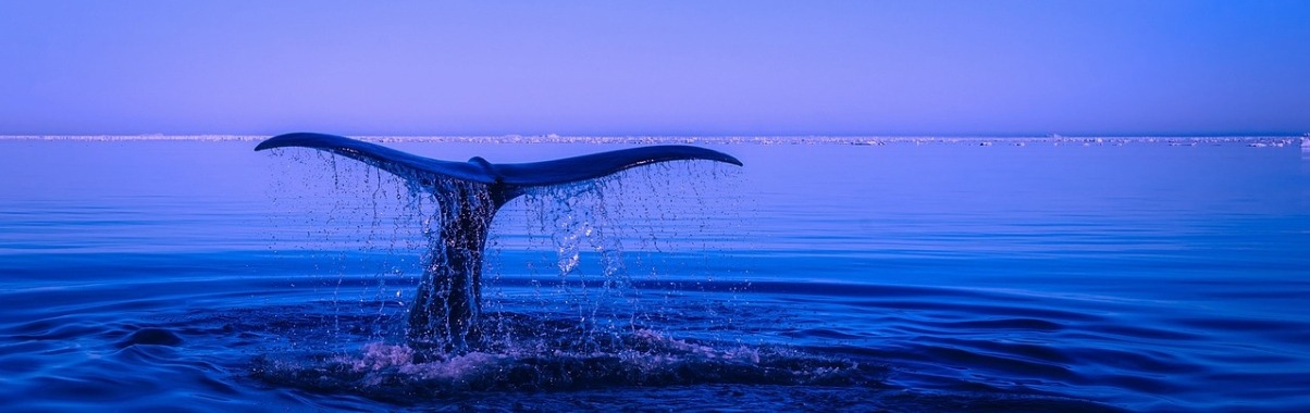 De zee is niet van water | Hans