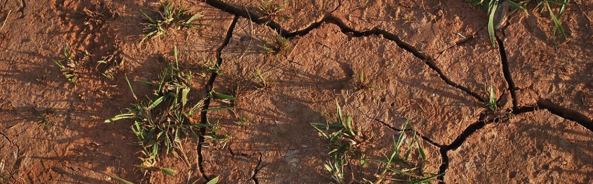 El Niño en tegenhanger La Niña | Hans