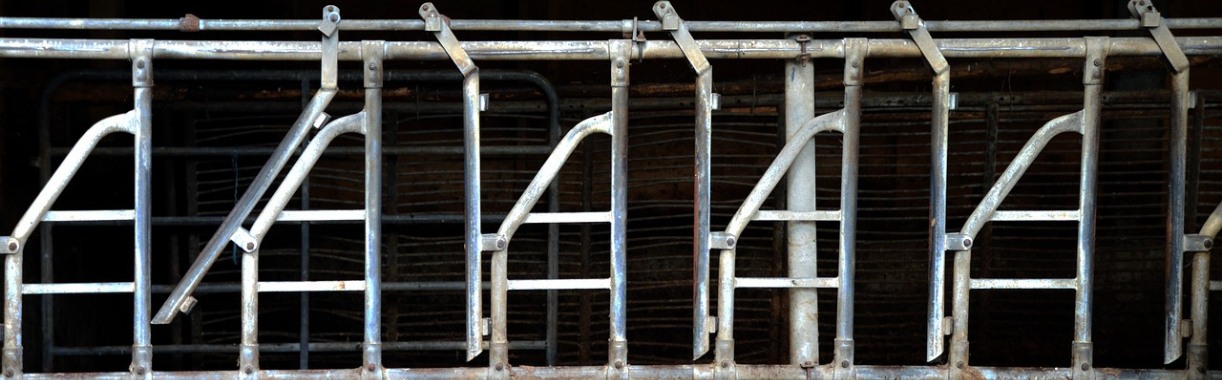 Bioindustrie: Het is een monster dat we met z’n allen in stand houden | Hans