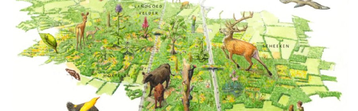 Natuur herstel in Nederland | Hans