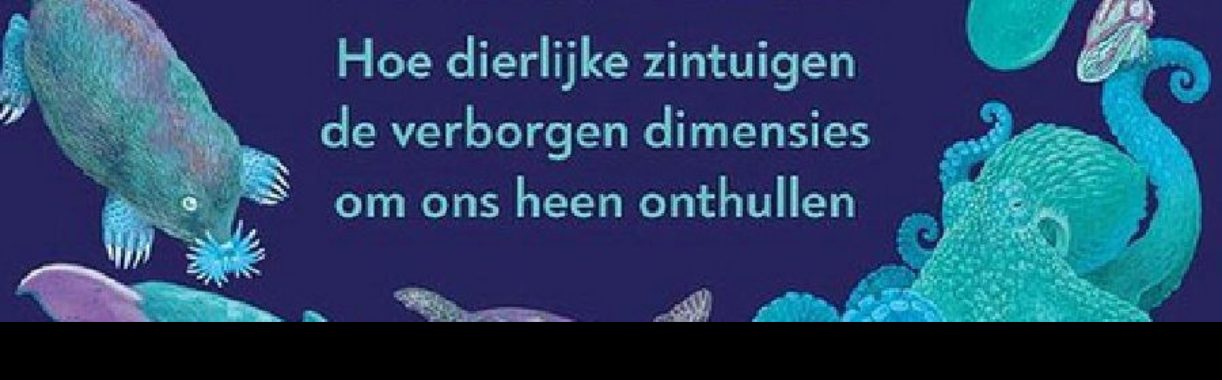 De werkelijkheid is niet wat ze lijkt | Hans