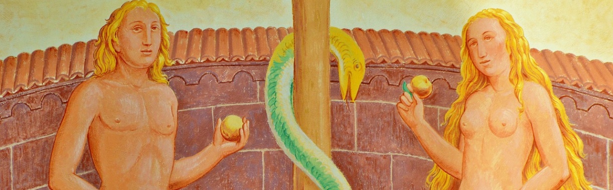 Hoe de mens de nauur heeft onderworpen | Hans