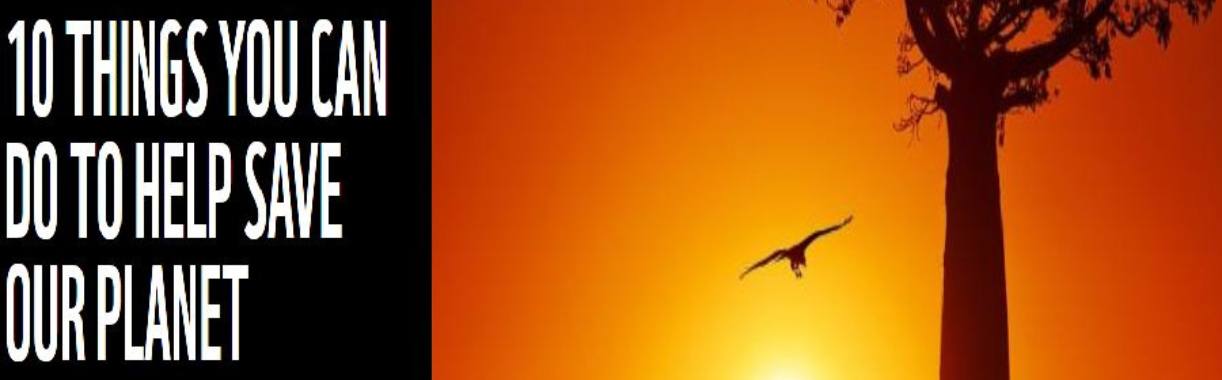 How You Can Save the World | Hans