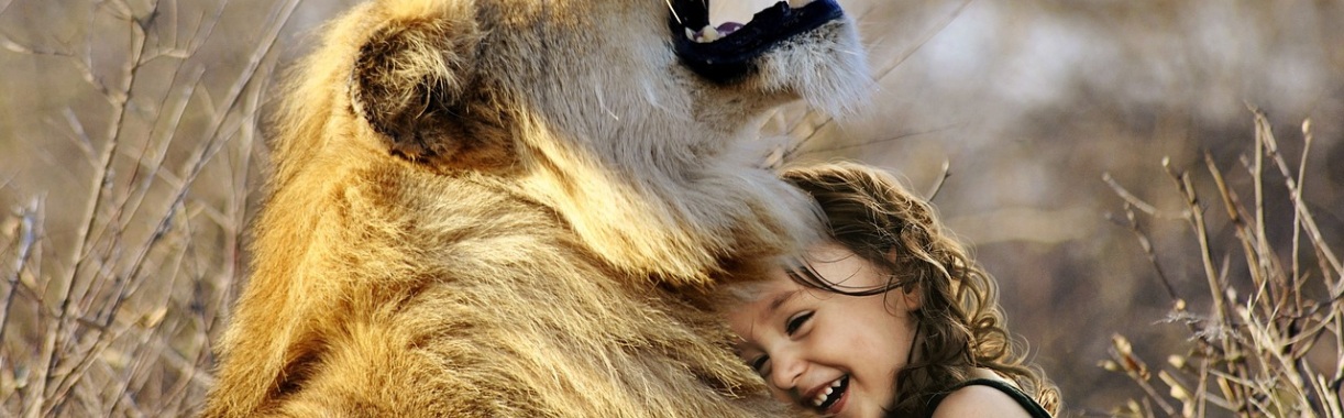 Want dieren zijn precies als mensen | Hans