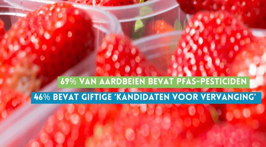 Alleen biologische aardbeien voldoen aan de norm voor baby- en peutervoeding | Hans