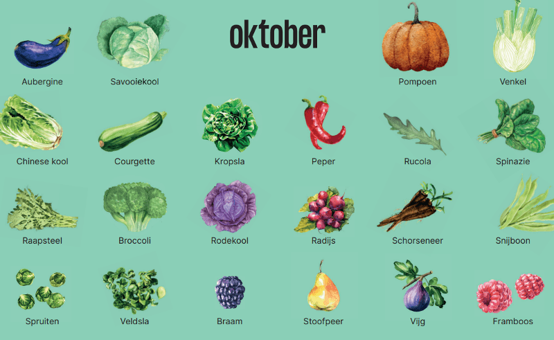 Dit zijn de seizoensgroenten van de herfst | Hans