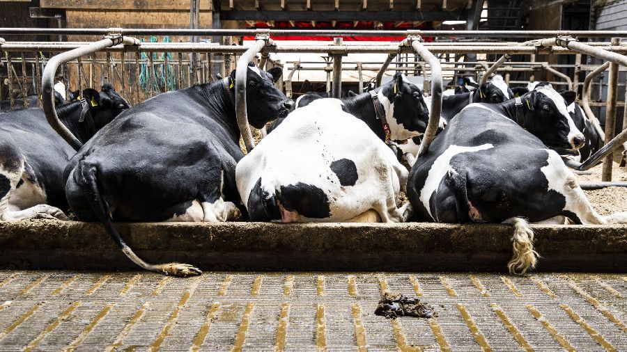 De agrarische industrie | Hans