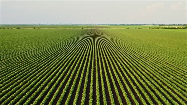 We moeten af van het beeld dat Nederland kampioen landbouw is | Hans