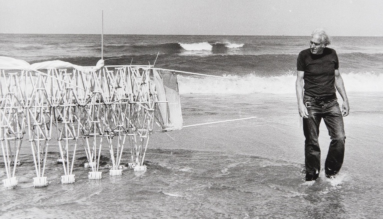 STRANDBEEST EVOLUTION | Hans