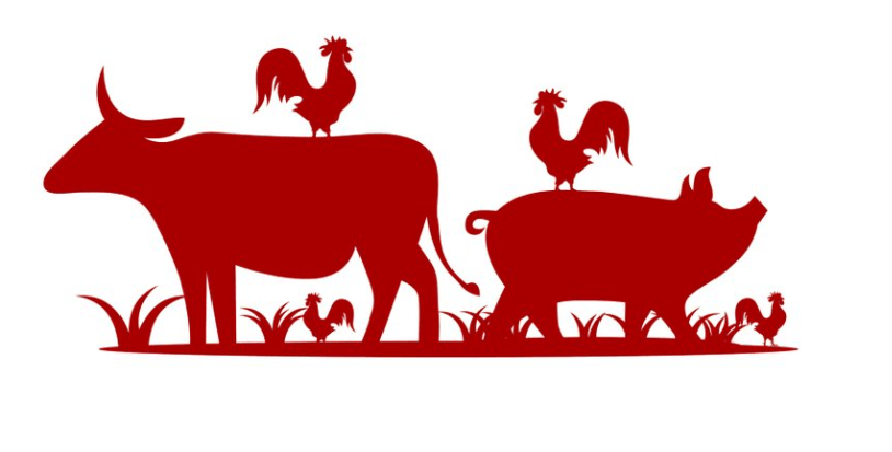 De landbouwhuisdieren! | Hans