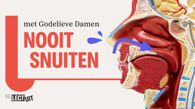 Waarom je nooit je neus moet snuiten | Hans