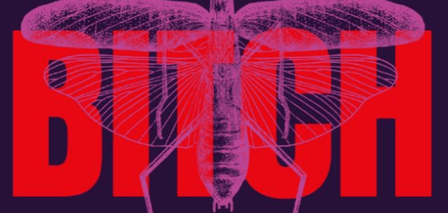 Zijn alle vrouwen vredelievend? Monogaam? | Hans