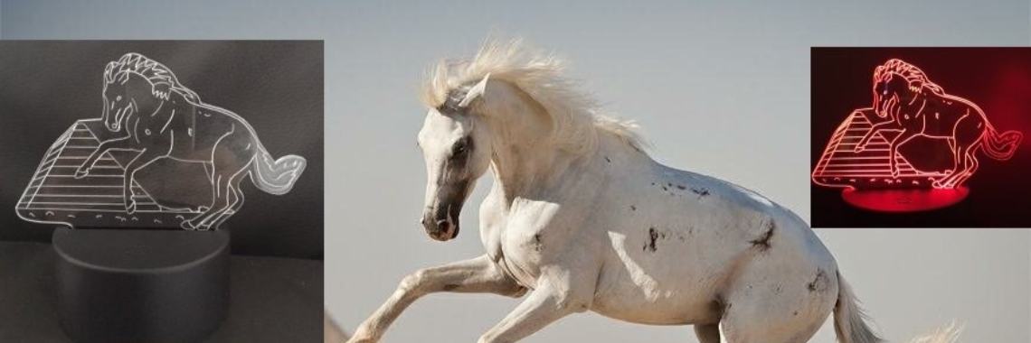 Originele sinterklaas kadootjes | Prince Fluffy Kareem