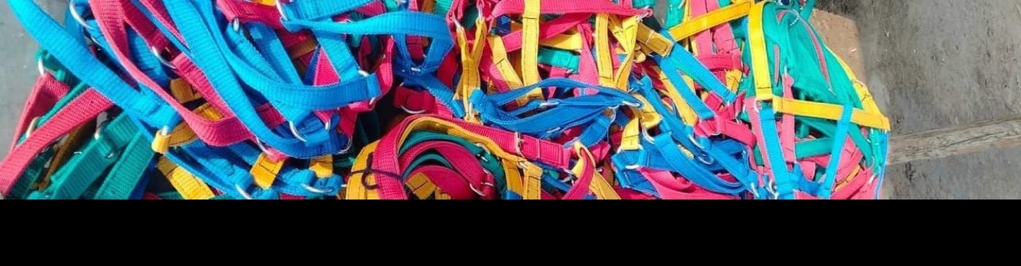 New horse halters | Prince Fluffy Kareem