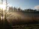 avanbeek000