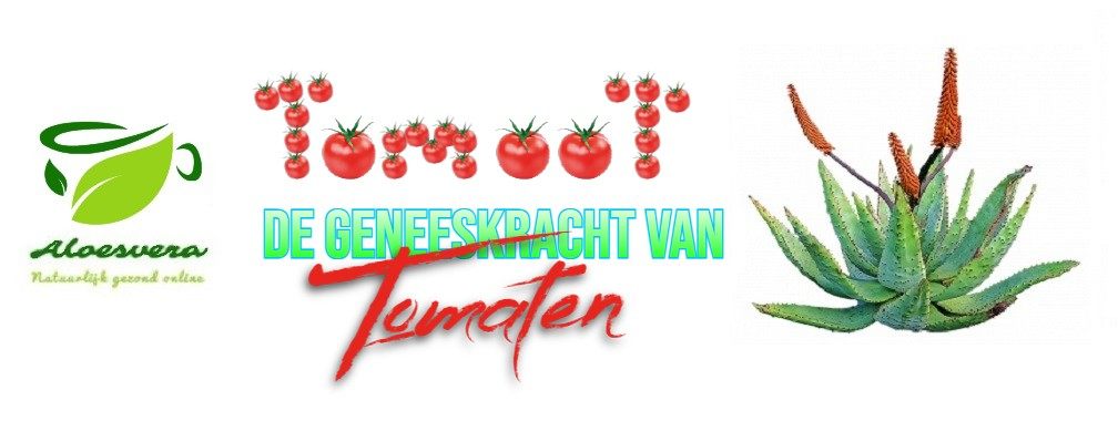 De Geneeskracht Van Tomaten - Yoors