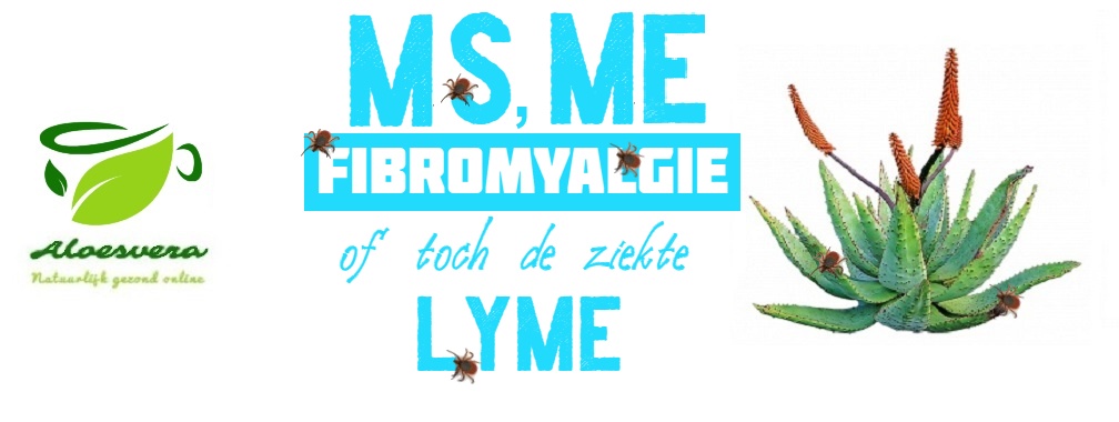 MS? Fibromyalgie? ME? Of toch de ziekte van Lyme? | Loes