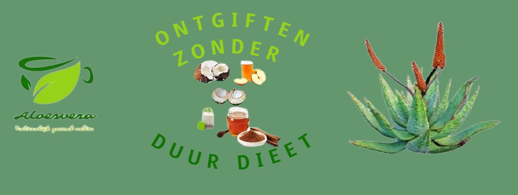 Ontgiften Zonder Duur Dieet | Loes