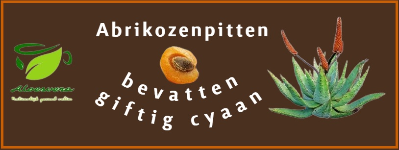 Abrikozenpitten Bevatten Giftig Cyaan | Loes