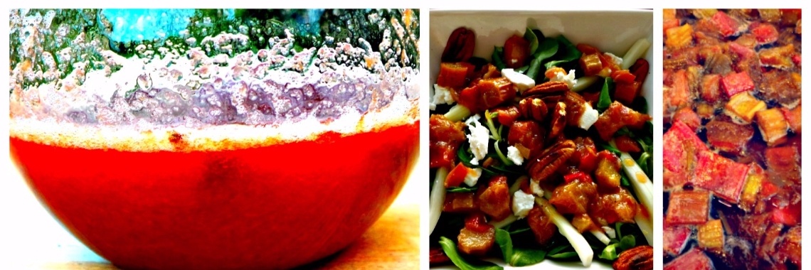 Recipes (PART II): Rhubarb - Salad, Syrup, and Salsa | Babu