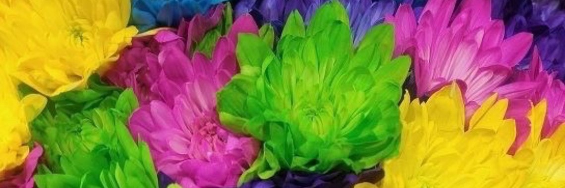 Reiki | Anneloes Bruna