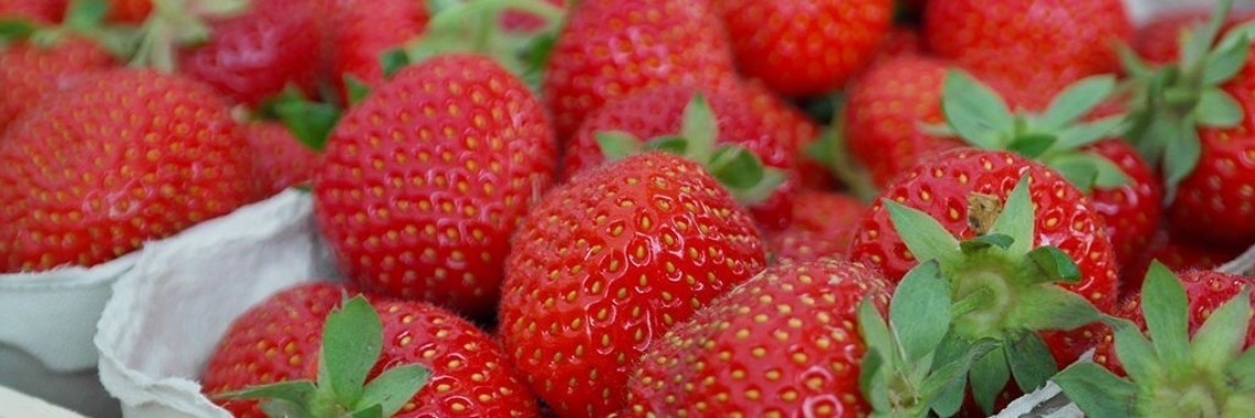 Mijn schoonvader met zijn grote hart | Alzheimerblog