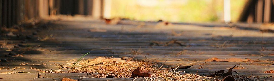 Nare ervaring na delen van blog. | Neance