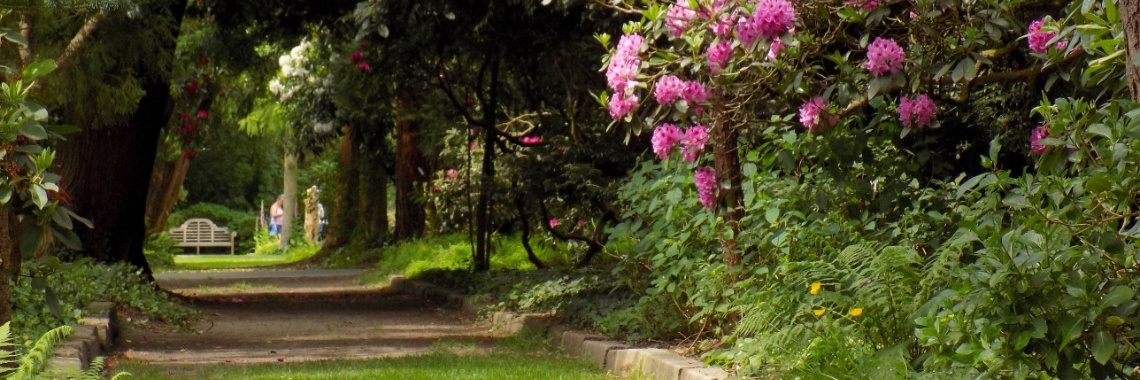 Arboretum Kalmthout | Rudy Siedlecki 🌳