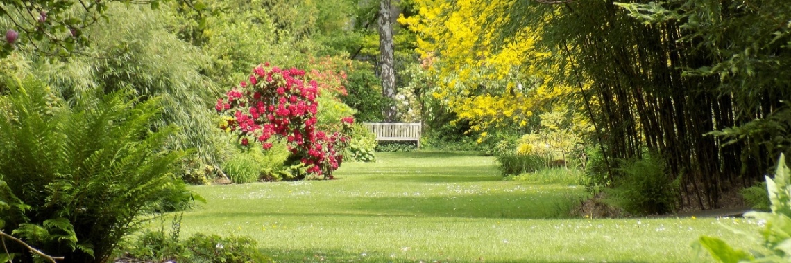 Arboretum Kalmthout - 'Garden of Excellence' | Rudy Siedlecki 🌳