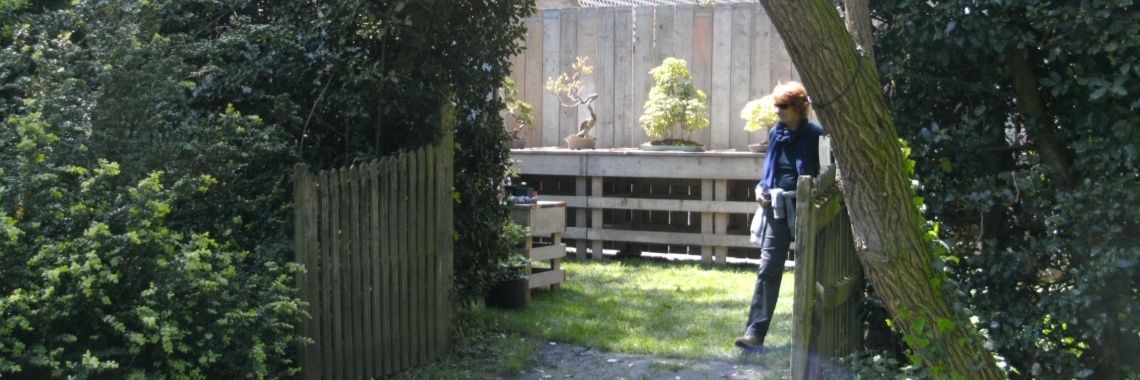 Het totaal vernieuwde "Bonsai Atelier", de aanleg. | Rudy Siedlecki 🌳