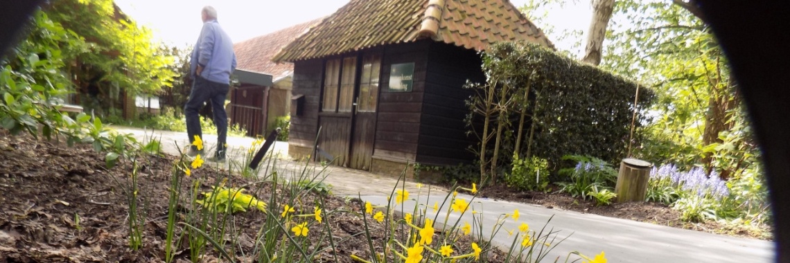 De goedkope en MILIEUVRIENDELIJKE Onkruidverdelger! | Rudy Siedlecki 🌳