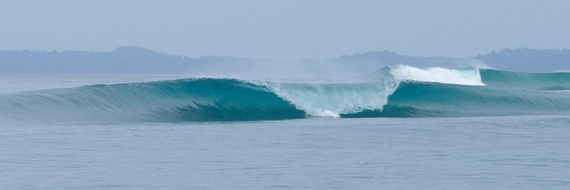 Eenzaamheid | Rudy Siedlecki 🌳