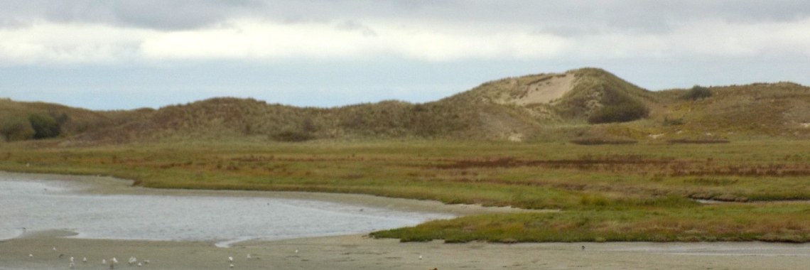 Het Zwin | Rudy Siedlecki 🌳