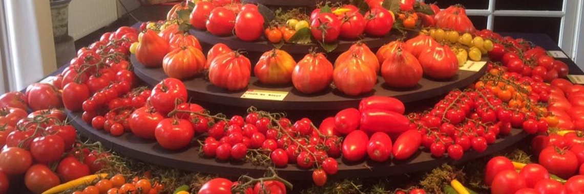 Tomatenfestival | Rudy Siedlecki π³