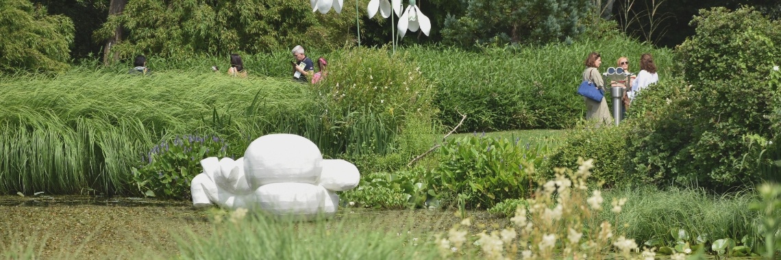 Kunst in het park 2022 | Rudy Siedlecki 🌳