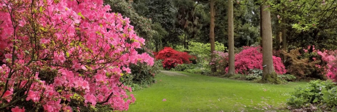 Lente in het park | Rudy Siedlecki 🌳