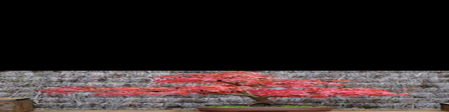 Meer Ooo Meer Ooo Meer Ooo | Rudy Siedlecki 🌳