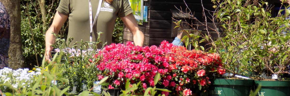 Plantenbeurs | Rudy Siedlecki 🌳