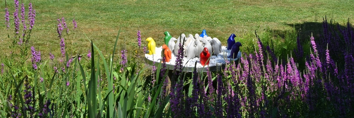 Buitenstaanders | Rudy Siedlecki 🌳