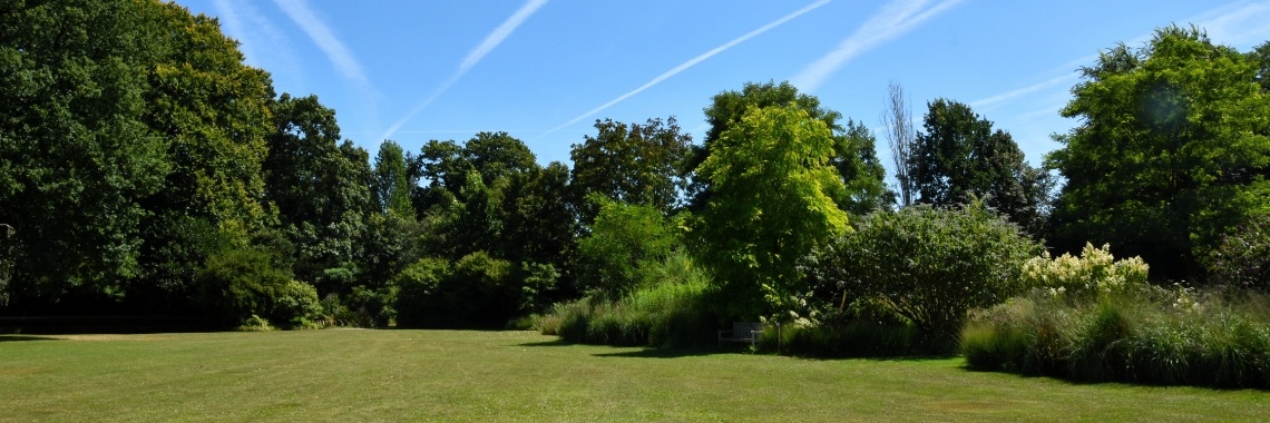 Gardening | Rudy Siedlecki 🌳